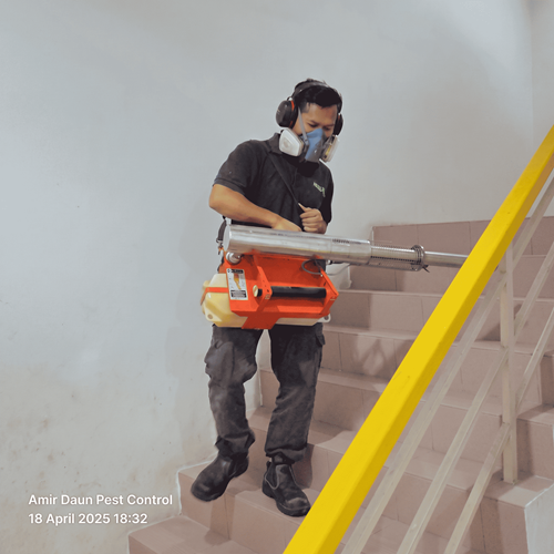 Bed Bug Treatment 2 - Daun Pest Control And Hygiene Services