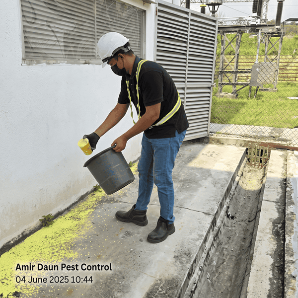 Flea Control 4 - Daun Pest Control And Hygiene Services